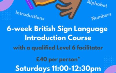 6-week Introduction to BSL Course