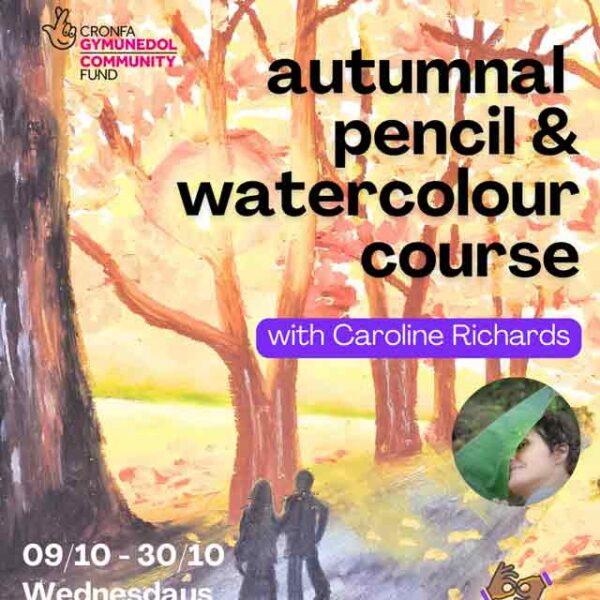 Ardour Drawing Course