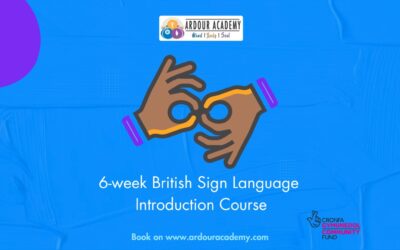 6-week Introduction to BSL Course – May 2025